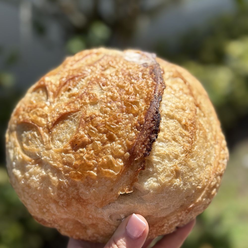 A golden rustic round sourdough loaf held up outdoors